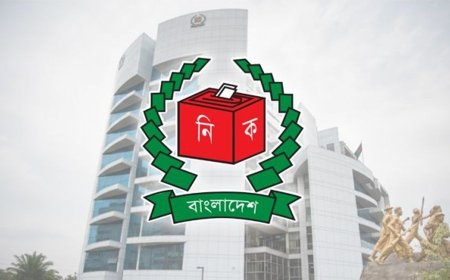 আপিল শুনানির ষষ্ঠ দিনে ৬০ জনের আপিল মঞ্জুর, না মঞ্জুর ২৯