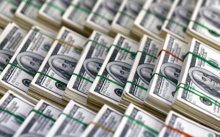 জানুয়ারির প্রথম ১৪ দিনে প্রবাসী আয় ১৭০ কোটি ডলার