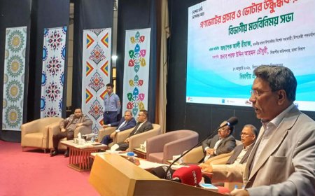 প্রজাতন্ত্রের কর্মচারীদের গণভোট প্রচারণা নিয়ে যা বললেন আলী রীয়াজ