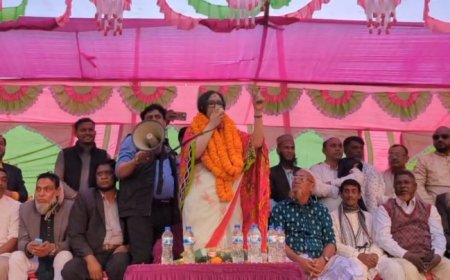 মন্ত্রিত্বের প্রলোভন দেখিয়ে নির্বাচনী আসন ছেড়ে দিতে বলে : রুমিন ফারহানা