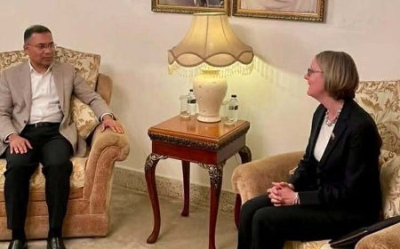 তারেক রহমানের সঙ্গে ব্রিটিশ হাইকমিশনারের সাক্ষাৎ