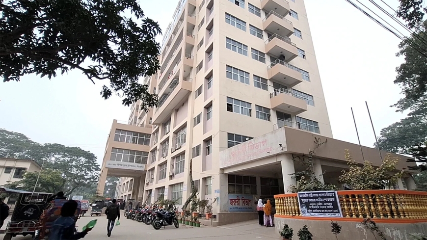 ঝিনাইদহে নারীকে গাছে বেঁধে নির্যাতন, আটক ১