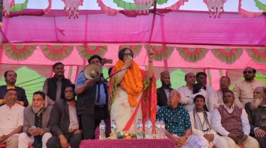 মন্ত্রিত্বের প্রলোভন দেখিয়ে নির্বাচনী আসন ছেড়ে দিতে বলে : রুমিন ফারহানা