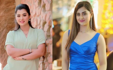 অন্তঃসত্ত্বা বুবলী, পিছিয়ে গেল শুটিং