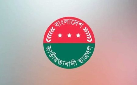 শৃঙ্খলা ভঙ্গের অভিযোগে ঝিনাইদহে ছাত্রদলের ২১ নেতাসহ ৫৫ জনকে বহিষ্কার