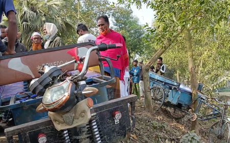 সিরাজগঞ্জের রায়গঞ্জে অটোভ্যান-ট্রাক সংঘর্ষে স্বামী–স্ত্রী নিহত, আহত ৪