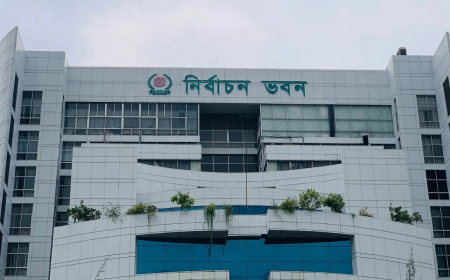 দেশে এসে পৌঁছেছে প্রবাসীদের ৪ লাখ ২২ হাজার পোস্টাল ব্যালট