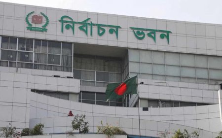 পোস্টাল ব্যালটে ভোট দিয়েছেন ৫ লাখের বেশি প্রবাসী