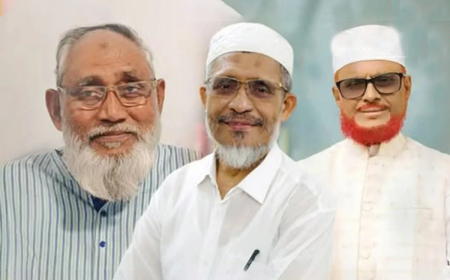 ফাঁসির মঞ্চ থেকে সংসদে যাচ্ছেন যে তিনজন