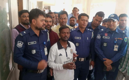 ধর্ষণ মামলায় গ্রেপ্তার হিরো আলম