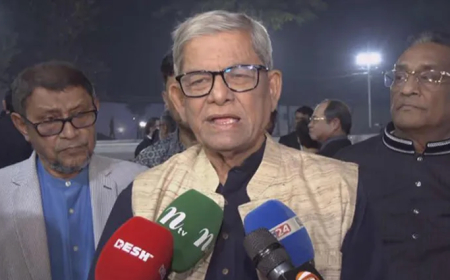 একুশ আমাদের নতুন প্রেরণা হয়ে আসবে : মির্জা ফখরুল