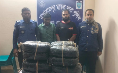 ব্রাহ্মণবাড়িয়ায় অ্যাম্বুলেন্সে মিলল ২৮ কেজি গাঁজা, আটক ২