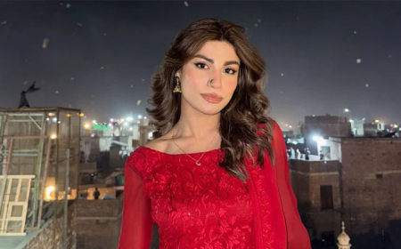 প্রাক্তন স্বামীর নির্যাতন, আঘাতের চিহ্ন দেখিয়ে বিচার চাইলেন পাকিস্তানি মডেল