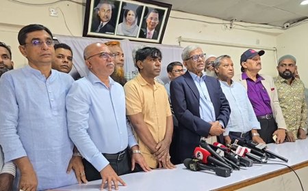 নতুন বাংলাদেশের জন্য কাজ করছে বিএনপি সরকার : মির্জা ফখরুল