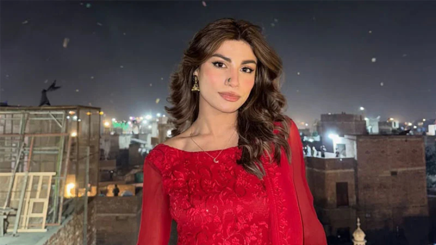 প্রাক্তন স্বামীর নির্যাতন, আঘাতের চিহ্ন দেখিয়ে বিচার চাইলেন পাকিস্তানি মডেল