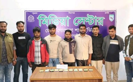 বাড়িতে বসে বিভিন্ন দেশের জাল ভিসা দিয়ে প্রতারণা, গ্রেপ্তার ৭