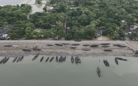 সুন্দরবনে কাঁকড়া আহরণ শুরু, উপকূলে ফিরেছে কর্মচাঞ্চল্য