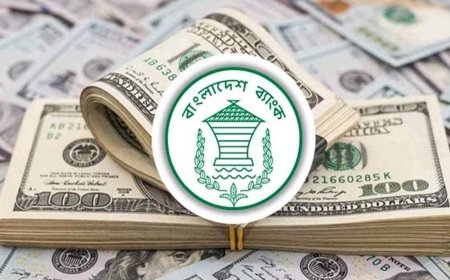 ফেব্রুয়ারিতেও রেমিট্যান্স ছাড়াল ৩ বিলিয়ন ডলার